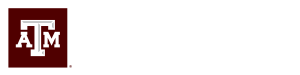 Website of TAMU Education Abroad
